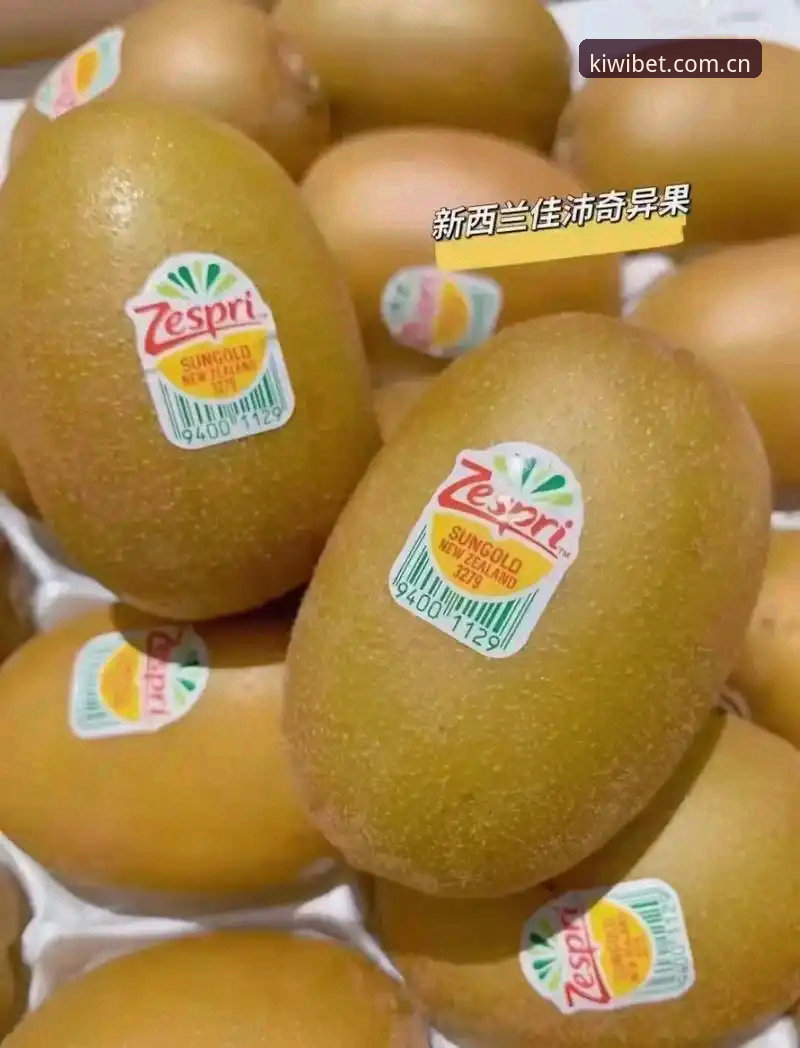 奇异果买球APP 一个实战派用户分享奇异果买球APP使用心得——从下载到实战的全流程体验
