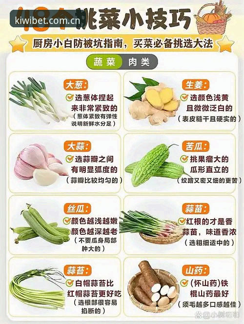 奇异果买球官方平台使用技巧 奇异果买球官方平台完整指南:2026新版使用技巧与实战经验